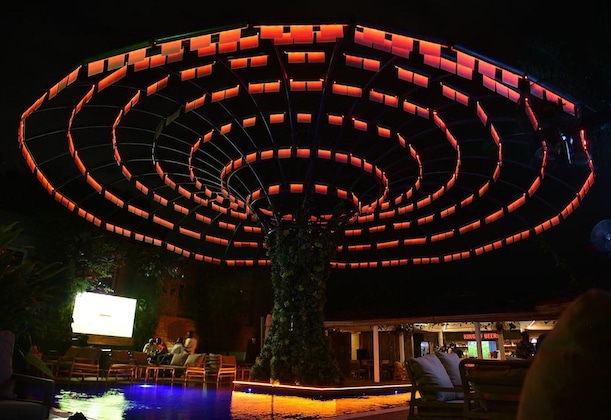 Gallery - The Blowfish Hotel
