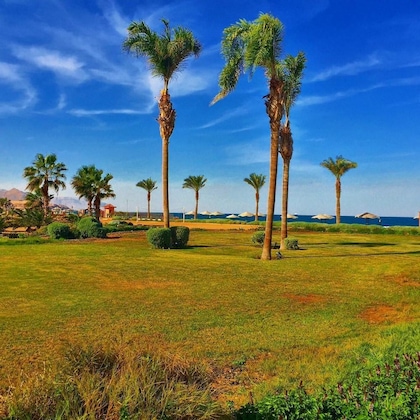 Gallery - Dome Marina Hotel & Resort