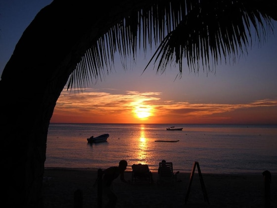 Gallery - Bananarama Dive & Beach Resort