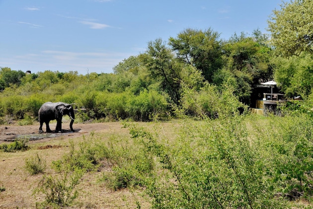 Gallery - Motswiri Private Safari Lodge