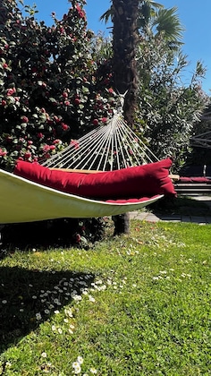 Gallery - Gartenresidence Zea Curtis