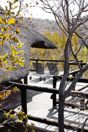 Gallery - Tshwene Lodge