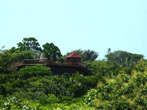 Gallery - Roatan Bed & Breakfast Apartments