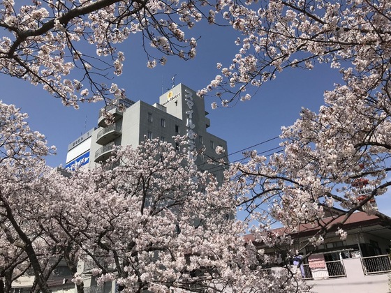 Gallery - Smile Hotel Mito