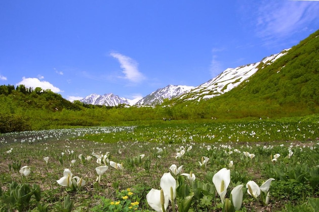 Gallery - Tsugaike Kogen Hotel