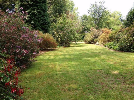 Gallery - Hills Havens