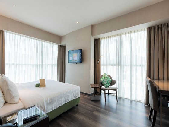 Gallery - Olive Tree Hotel
