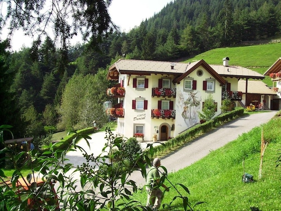 Gallery - Agritur Darial