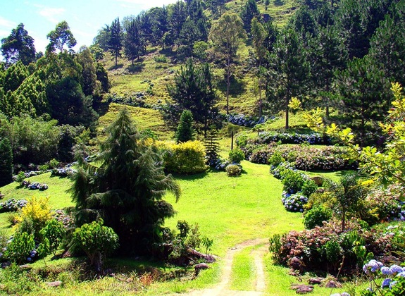 Gallery - Blue Hill Hotel
