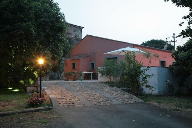 Gallery - Galea