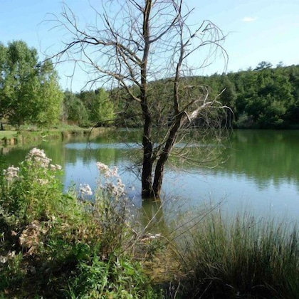Gallery - San Bernardino Del Lago