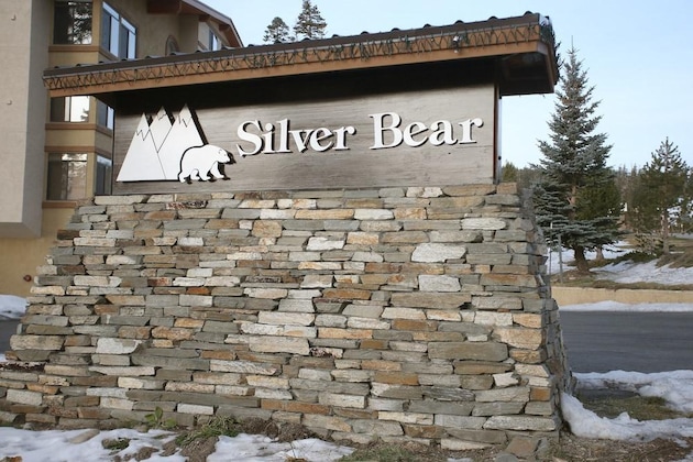 Gallery - Silver Bear 20