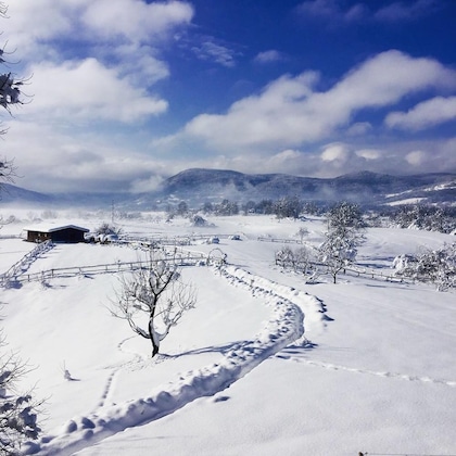 Gallery - Ranch Terra