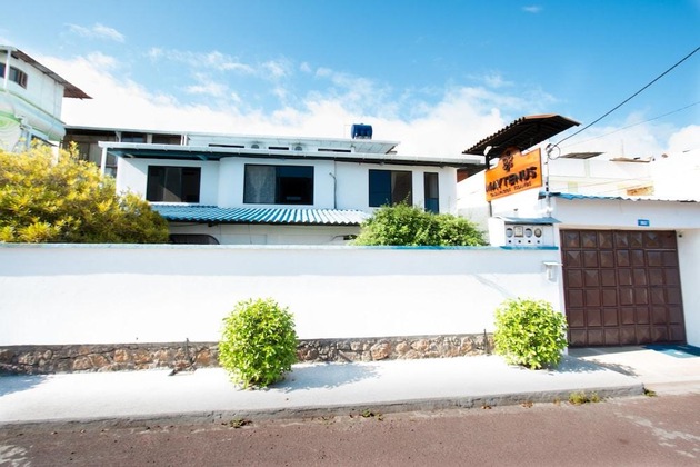 Gallery - Maytenus Galapagos