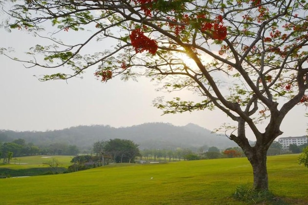 Gallery - Sir James Resort