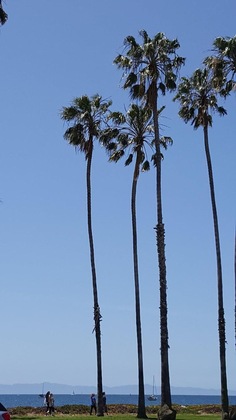 Gallery - Pacific Crest Hotel Santa Barbara