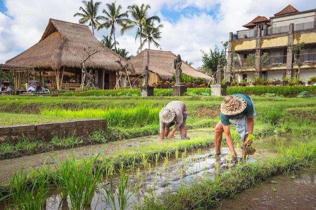 Gallery - Visesa Ubud Resort