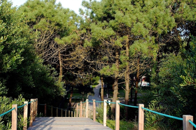 Gallery - Parque De Campismo Orbitur Viana Do Castelo