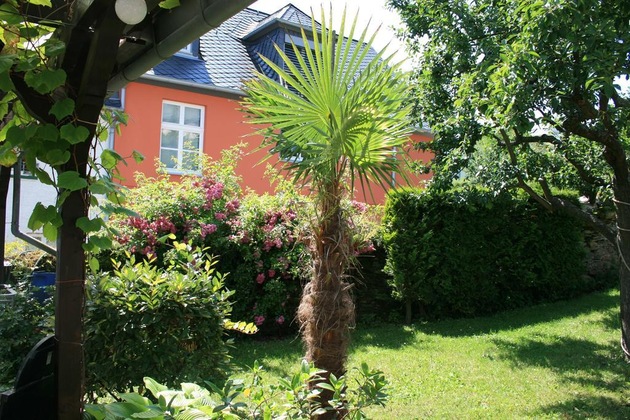 Gallery - Hotel Springiersbacher-Hof