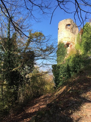 Gallery - La Maison Des Fontaines D'alsace