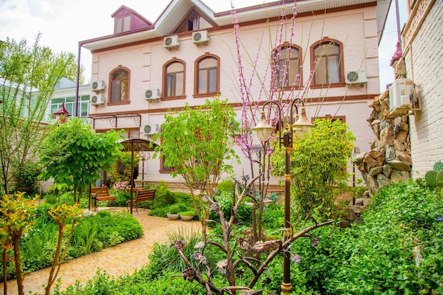 Gallery - Platan