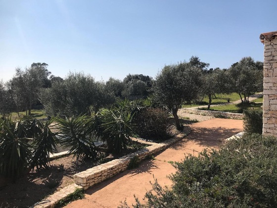 Gallery - L'albitru