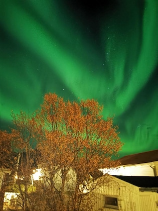 Gallery - Henningsvær Guesthouse
