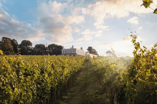 Gallery - Lympstone Manor Hotel