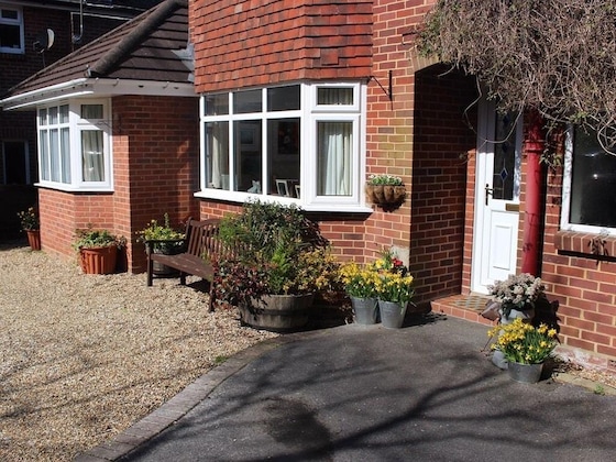 Gallery - Honey Lodge