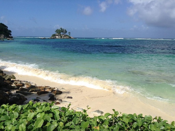 Gallery - Alisee