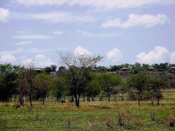 Gallery - Mbalageti Serengeti