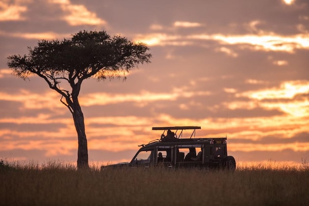 Gallery - Elewana Sand River Masai Mara