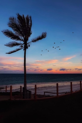 Gallery - Silver Palm Spa And Resort