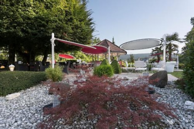 Gallery - Bellevue