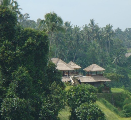 Gallery - Villa 5 camere da letto 5 bagni, Ubud