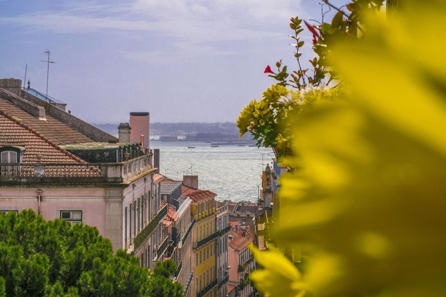 Gallery - Casinha das Flores