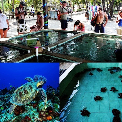 Gallery - Sari Laut