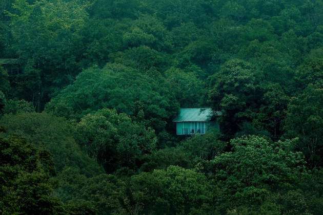 Gallery - Wayanad Wild Rainforest Lodge By Cgh Earth