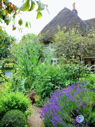 Gallery - Tudor Cottage Bed & Breakfast Dorchester