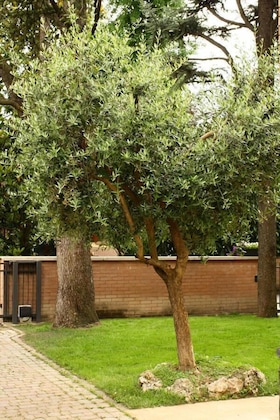 Gallery - B&B Igea 50