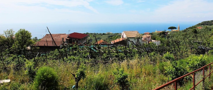 Gallery - Complesso San Francesco