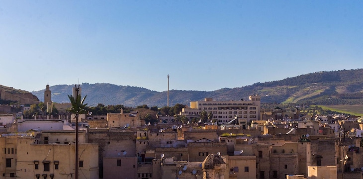 Gallery - Riad Taha