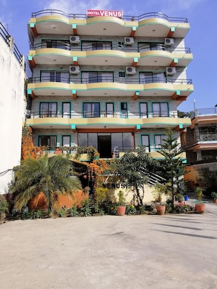 Gallery - Hotel Venus