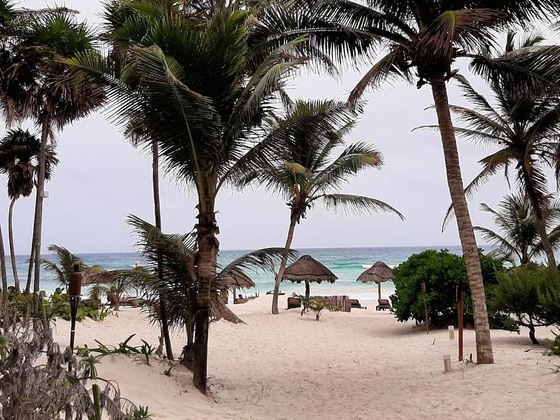 Gallery - Bt Live Tulum Located At The Party Zone