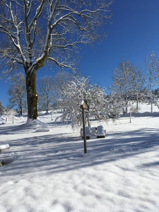 Gallery - Le Tillau