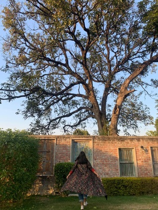 Gallery - The Tree Of Life Resort & Spa, Varanasi