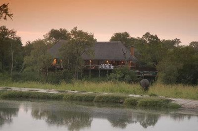 Gallery - Thornybush Simbambilli Lodge