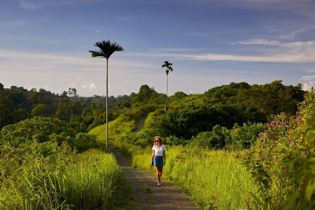 Gallery - Element By Westin Bali Ubud