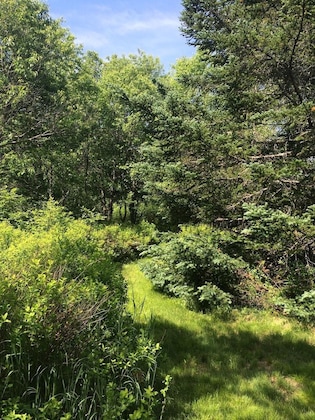 Gallery - Moose Lodge And Cabins By Bretton Woods Vacations