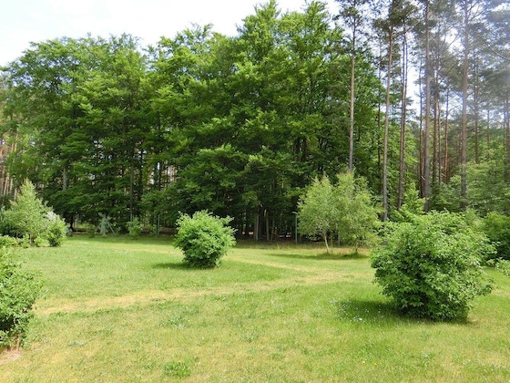 Gallery - Ostseetraum Graal-Müritz